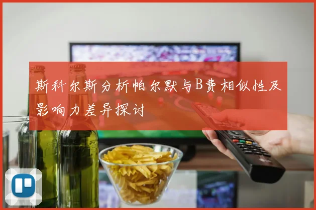 斯科尔斯分析帕尔默与B费相似性及影响力差异探讨