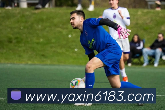 亚新体育APP 封面图